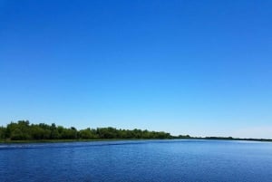 Nouvelle-Orléans : Le meilleur petit tour des marais en bateau à air comprimé