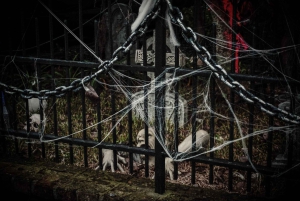 New Orleans: Vampyrer og spøgelser Combo Tour