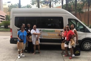 New Orleans: Whitney Plantation Audio Tour med transport