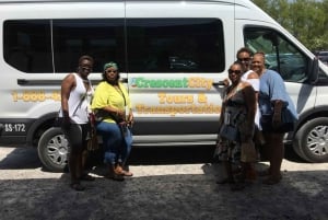 Nova Orleans: Whitney Plantation Audio Tour com traslados