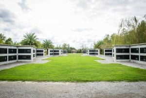 New Orleans: Whitney Plantation puolipäiväinen retki