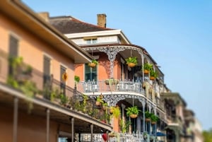 Romantic Rendezvous: A Love-Filled Journey in New Orleans