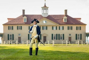 Small-Group D.C, U.S Capitol & Mount Vernon 1-Day Tour