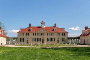 Small-Group D.C, U.S Capitol & Mount Vernon 1-Day Tour