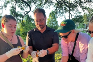 Treme Bar Crawl & Seafood Experience