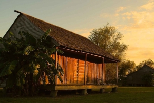 Whitney and St. Joseph Plantation Tour