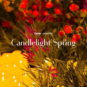 Candlelight Spring: Neo-Soul and Hip-Hop Favorites