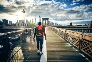 1-dags privat tur i New York City med transfer og guide