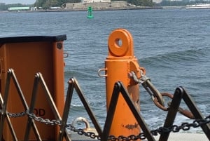 #nº 1 Tour en autobús de seis horas y paseo en barco por la Estatua de la Libertad