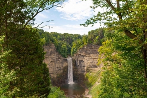 Circuit de 2 jours aux chutes du Niagara et à Corning - au départ de New York