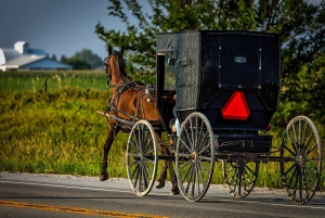 2 dias Washington D.C., Filadélfia e Amish Country