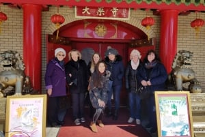 3 Neighborhoods Tour: Soho, Chinatown & Little Italy