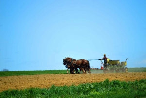 6 päivää-Niagara: Toronto: Washington: Amish: Philadelphia NYC