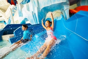 Amerikkalainen unelma: Dreamworks Indoor Water Park pääsylippu
