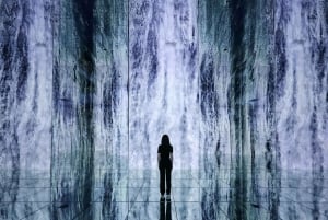 Arte Museum New York: An Immersive Media Art Exhibition