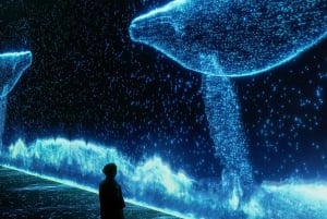 Arte Museum New York: An Immersive Media Art Exhibition