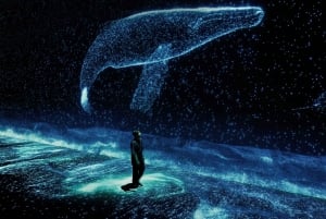 Arte Museum New York: An Immersive Media Art Exhibition