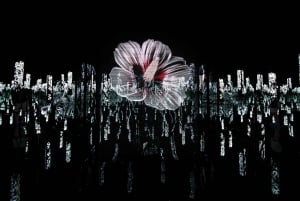 Arte Museum New York: An Immersive Media Art Exhibition