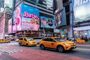 Excursão a pé pelo melhor de Lower Manhattan