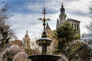 NYC: Het beste van Manattan 3 uur wandeltour & fietsen door Central Park