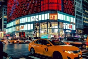 Det bedste af New York City: Privat tur til fods med lokale