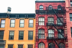 Det bedste af New York City: Privat tur til fods med lokale