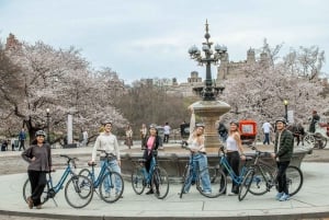 Le meilleur de New York : bus à arrêts multiples pendant 24 heures + croisière Liberty + pass vélo à la journée