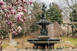 Det bedste af NYC: Gossip Girl-stederne