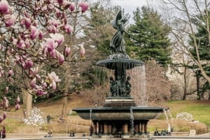 Najlepsze atrakcje Nowego Jorku: miejsca związane z serialem „Plotkara”