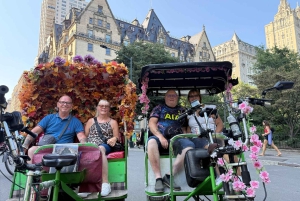 Det bästa av NYC: Topprankad cykeltaxi-tur i Central Park med Gossip Girl-tema