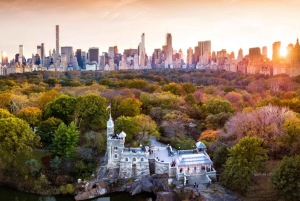 Det bästa av NYC: Topprankad cykeltaxi-tur i Central Park med Gossip Girl-tema