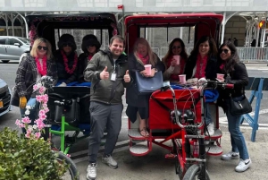 Det bästa av NYC: Topprankad cykeltaxi-tur i Central Park med Gossip Girl-tema