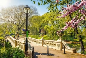 NUEVA YORK: Excursión de un día con visita a la Estatua de la Libertad