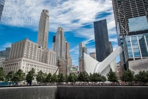 NYC: 1-dniowa wycieczka krajoznawcza z wizytą pod Statuą Wolności