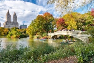 Fietstocht door Centraal Manhattan, topattracties en natuur