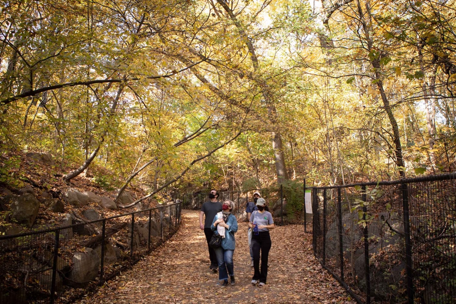 Brooklyn: 2-timmars guidad tur i Prospect Park