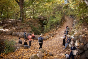 Brooklyn: tour guidato a piedi di 2 ore a Prospect Park