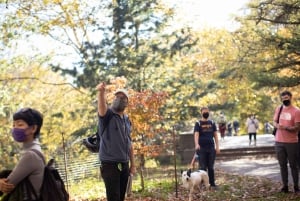 Brooklyn: 2-timmars guidad tur i Prospect Park