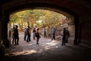 Brooklyn: 2-timmars guidad tur i Prospect Park