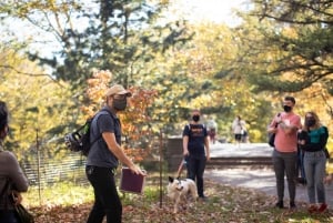 Brooklyn: 2-timmars guidad tur i Prospect Park