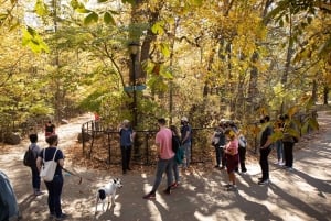 Brooklyn: 2-timmars guidad tur i Prospect Park