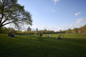 Brooklyn: 2-timmars guidad tur i Prospect Park