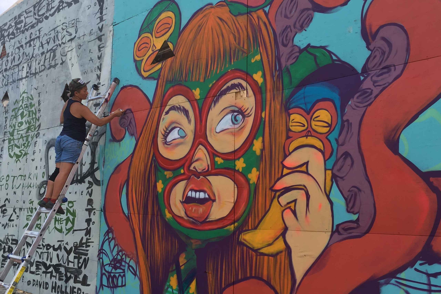 Brooklyn: Bushwick Street Art wandeltour