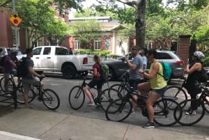 Brooklyn: Half-Day Cycling Tour