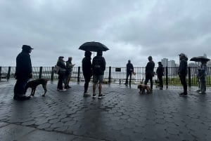 Brooklyn Heights: Pierwsze przedmieście Nowego Jorku