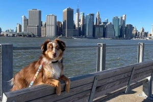 Brooklyn Heights: El primer suburbio de Nueva York