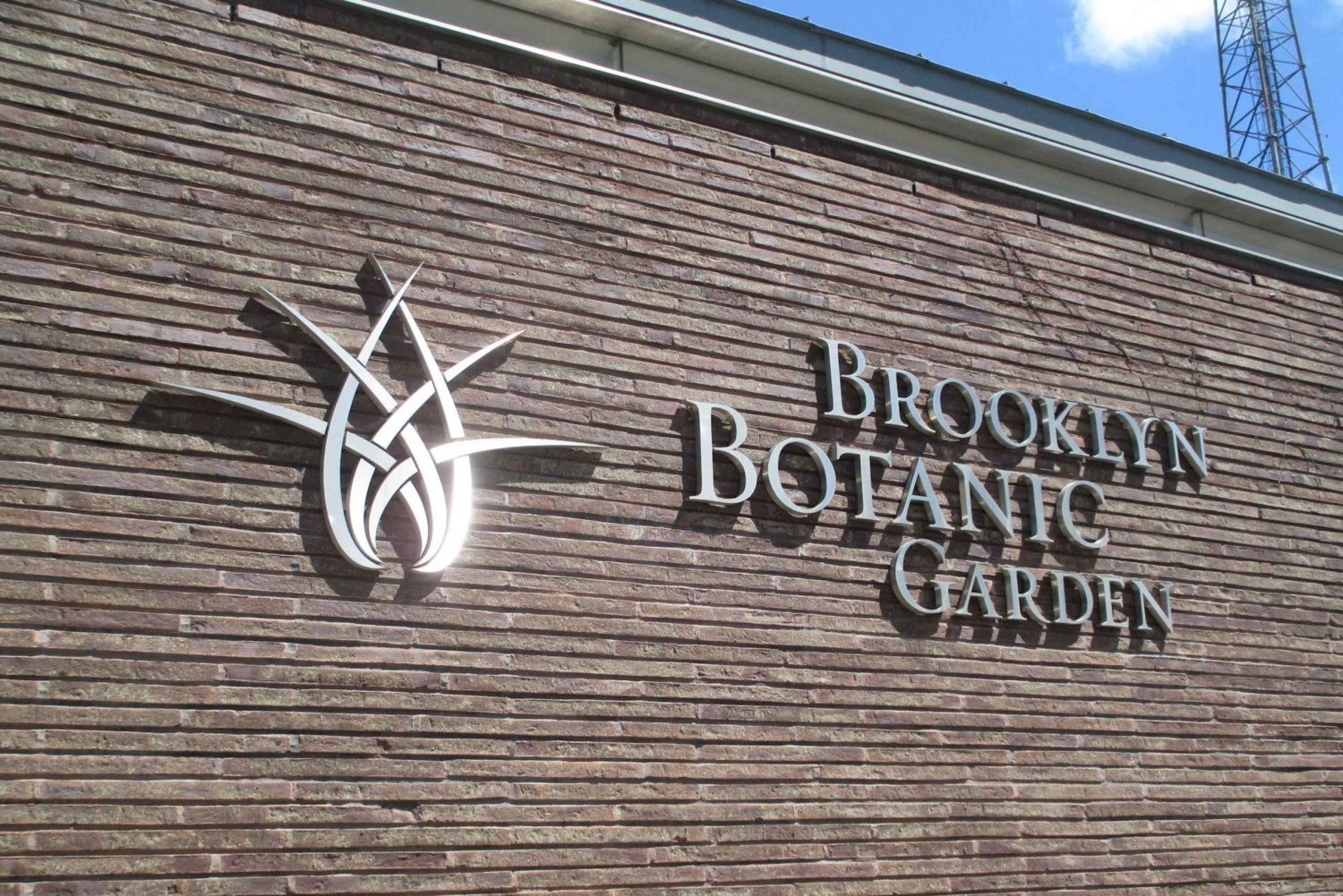 Tour guidato a piedi e caccia al tesoro di Brooklyn