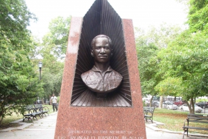 Tour guidato a piedi e caccia al tesoro di Brooklyn