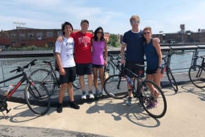 Brooklyn: Tour panoramico in bicicletta con una guida locale