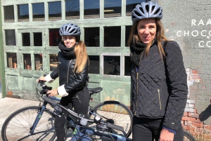 Brooklyn: Passeio turístico de bicicleta com guia local